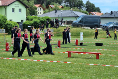BFJLB-Hollenthon_2026-06-13_03