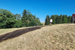 Flurbrand-Stoegersbach_2026-08-15_01
