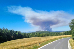 Waldbrand-Foehrenwald_2026-08-14_01
