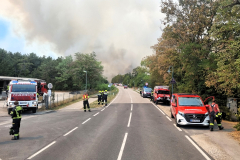 Waldbrand-Foehrenwald_2026-08-14_02
