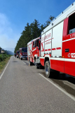 Waldbrand-Foehrenwald_2026-08-14_03