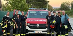 Waldbrand Föhrenwald